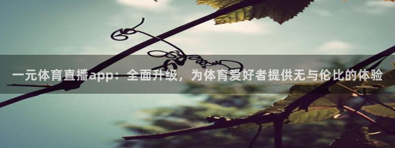 壹号娱乐官方app下载安装：一元体育直播app：全面升级，为体育爱好者提供无与伦比的体验