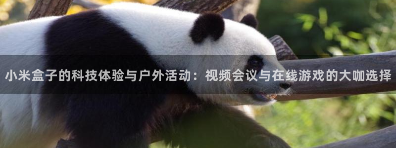 壹号娱乐链接：小米盒子的科技体验与户外活动：视频会议与在线游戏的大咖选择