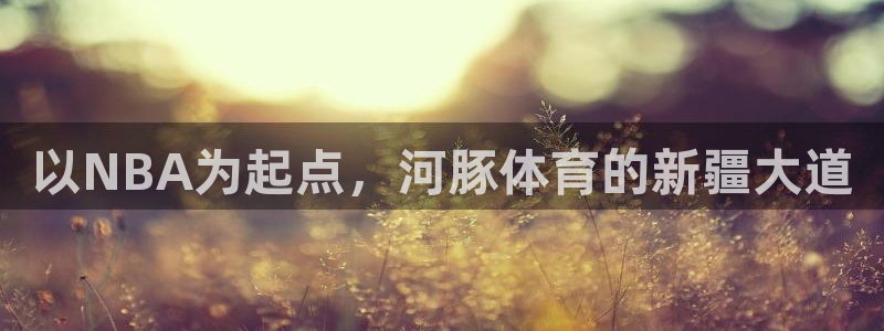 pg壹号平台下载安装：以NBA为起点，河豚体育的新疆大道