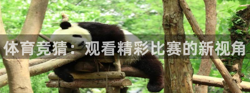壹号电子娱乐app下载：体育竞猜：观看精彩比赛的新视角