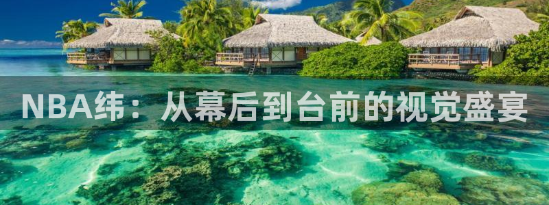 壹号娱乐app下载：NBA纬：从幕后到台前的视觉盛宴
