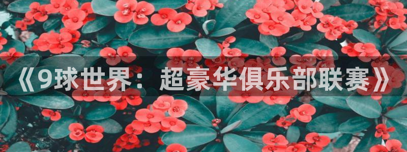 壹号娱乐下载入口：《9球世界：超豪华俱乐部联赛》