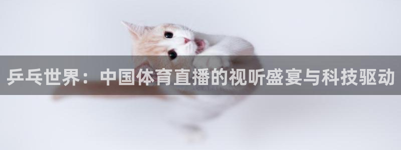 壹号娱乐下载