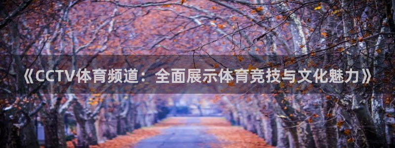 壹号app官网版下载