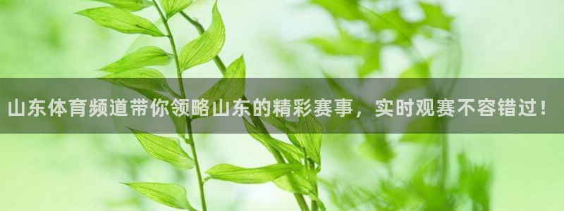 壹号娱乐注册：山东体育频道带你领略山东的精彩赛事，实时观赛不容错过！