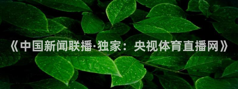壹号娱乐.com：《中国新闻联播·独家：央视体育直播网》