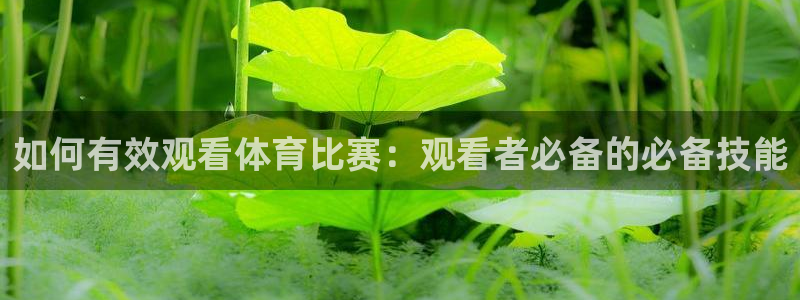 壹号pg电子游戏：如何有效观看体育比赛：观看者必备的必备技能