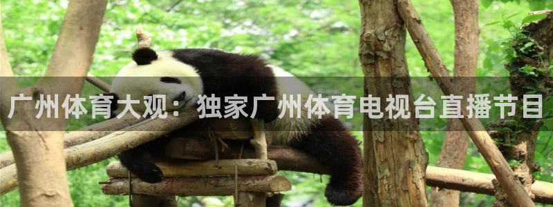 壹号娱乐官网：广州体育大观：独家广州体育电视台直播节目